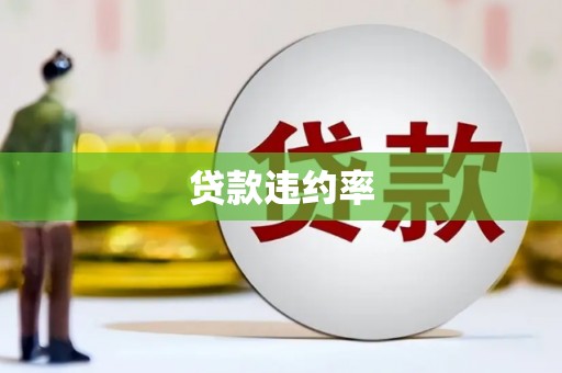 马公贷款违约率