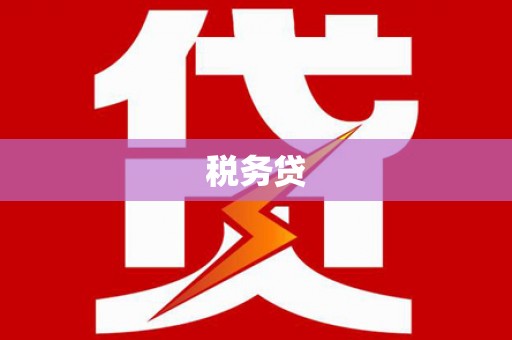 马公税务贷
