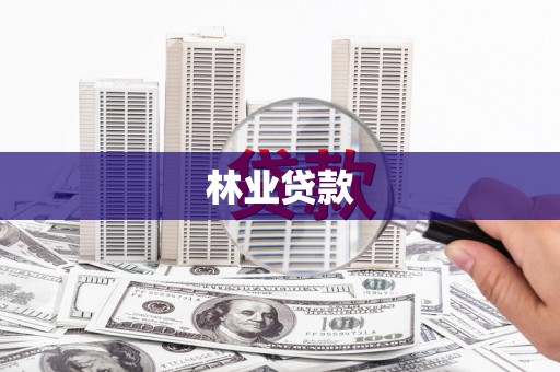 马公林业贷款