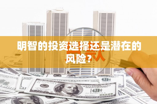 马公明智的投资选择还是潜在的风险？