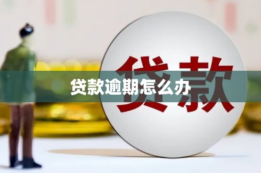 马公贷款逾期怎么办