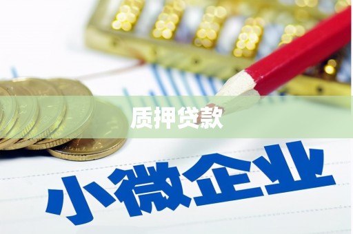 马公质押贷款