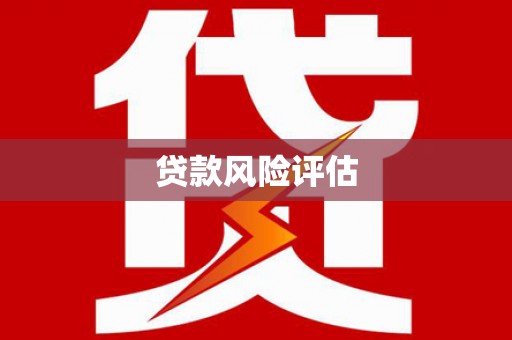 马公贷款风险评估