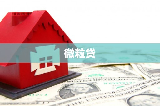 马公微粒贷