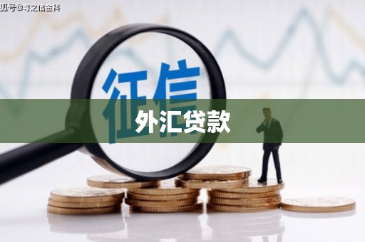马公外汇贷款