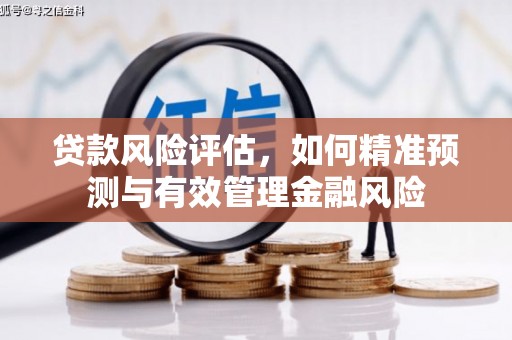 马公贷款风险评估，如何精准预测与有效管理金融风险
