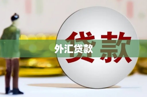 马公外汇贷款