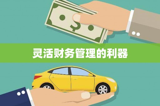 马公灵活财务管理的利器