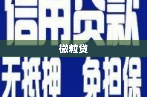 马公微粒贷