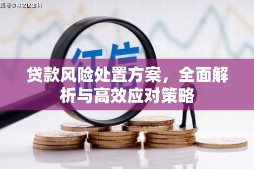 马公贷款风险处置方案，全面解析与高效应对策略