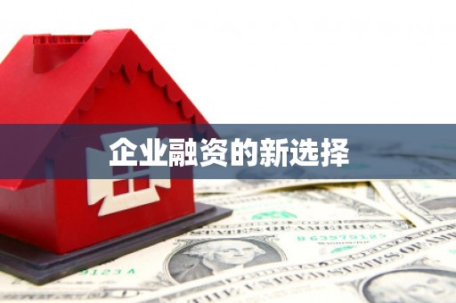 马公企业融资的新选择