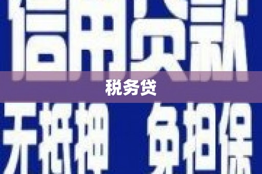 马公税务贷