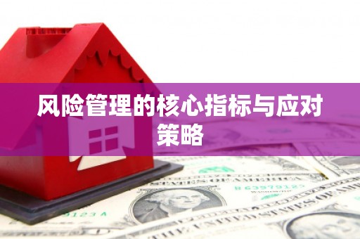 马公风险管理的核心指标与应对策略