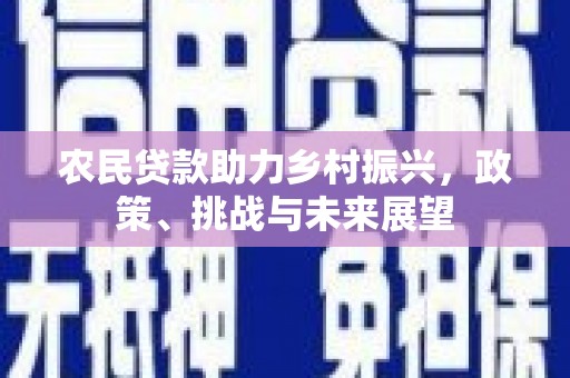 马公农民贷款助力乡村振兴，政策、挑战与未来展望