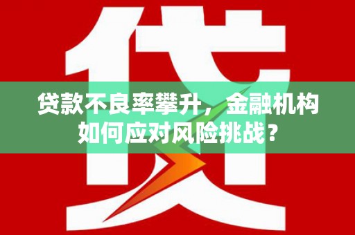 马公贷款不良率攀升，金融机构如何应对风险挑战？