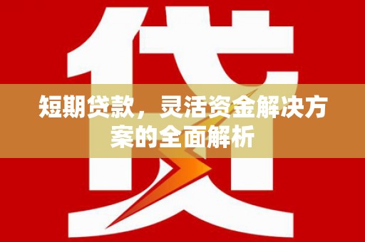 马公短期贷款，灵活资金解决方案的全面解析