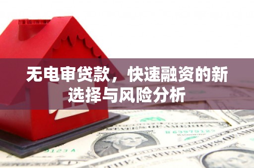 马公无电审贷款，快速融资的新选择与风险分析