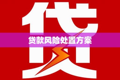 马公贷款风险处置方案