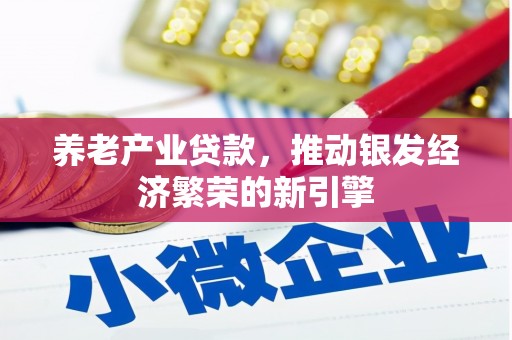 马公养老产业贷款，推动银发经济繁荣的新引擎