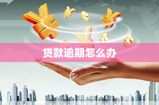 马公贷款逾期怎么办