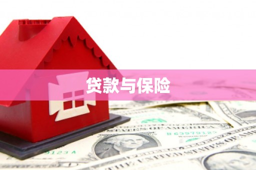 马公贷款与保险