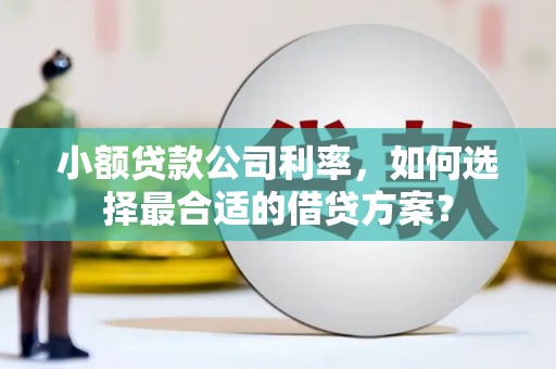 马公小额贷款公司利率，如何选择最合适的借贷方案？