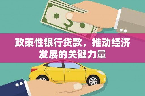 马公政策性银行贷款，推动经济发展的关键力量