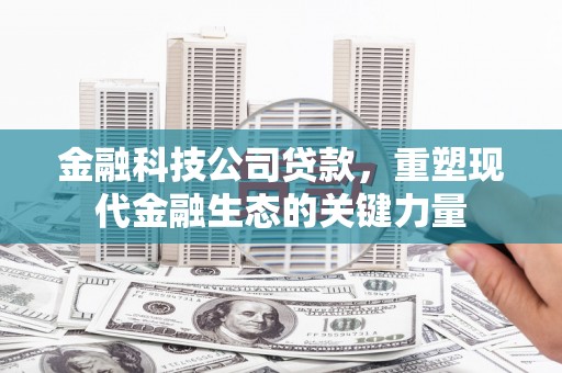 马公金融科技公司贷款，重塑现代金融生态的关键力量