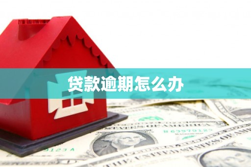 马公贷款逾期怎么办