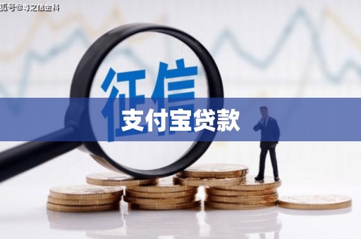 马公支付宝贷款