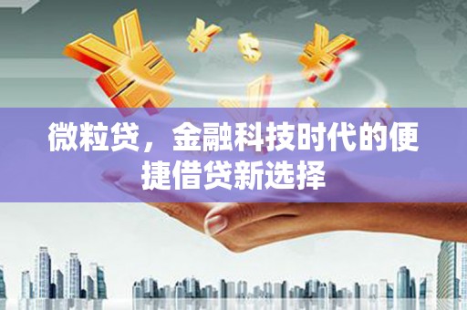 马公微粒贷，金融科技时代的便捷借贷新选择
