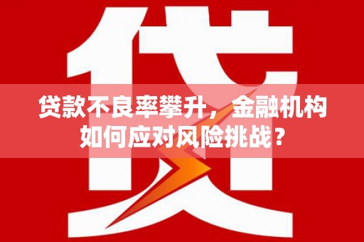 马公贷款不良率攀升，金融机构如何应对风险挑战？