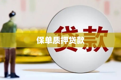 马公保单质押贷款