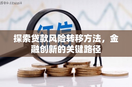 马公探索贷款风险转移方法，金融创新的关键路径