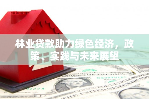 马公林业贷款助力绿色经济，政策、实践与未来展望