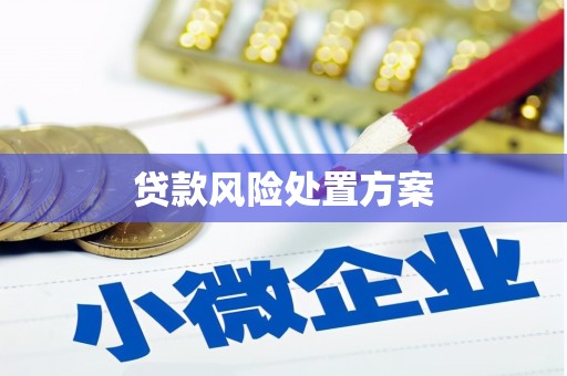 马公贷款风险处置方案