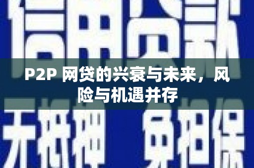 马公P2P 网贷的兴衰与未来，风险与机遇并存