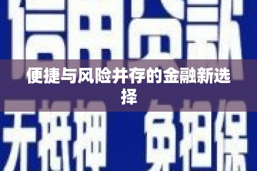 马公便捷与风险并存的金融新选择