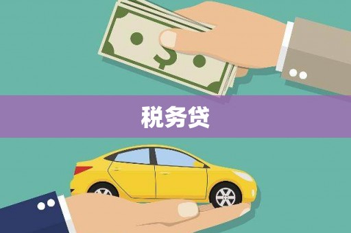 马公税务贷