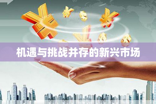 马公机遇与挑战并存的新兴市场