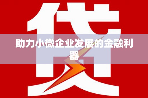马公助力小微企业发展的金融利器