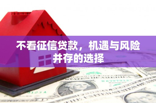 马公不看征信贷款，机遇与风险并存的选择