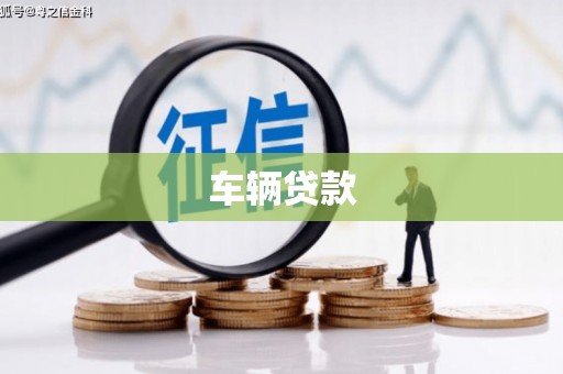马公车辆贷款