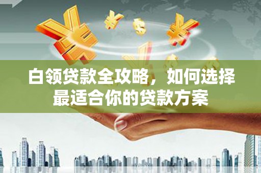 马公白领贷款全攻略，如何选择最适合你的贷款方案
