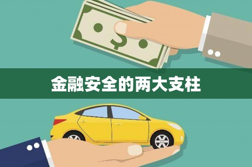 马公金融安全的两大支柱